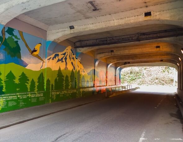 Art on the wall of an underpass.