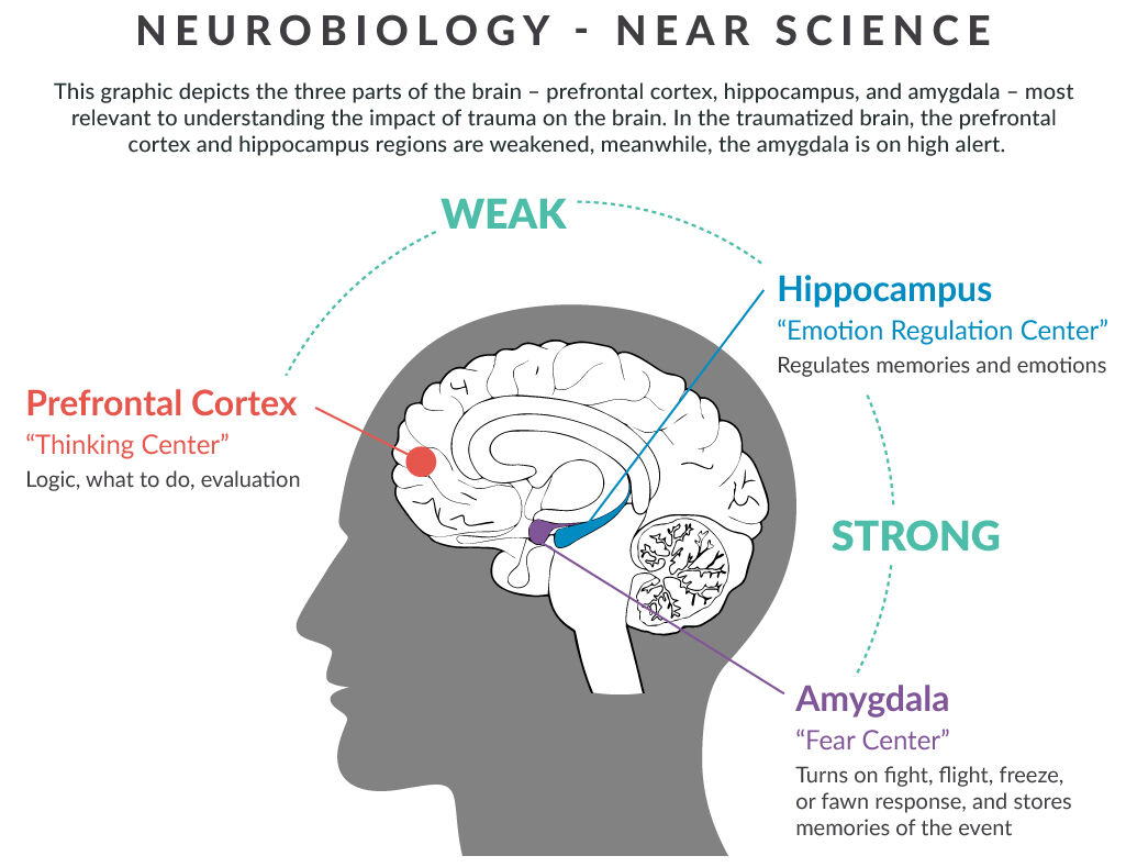 NEAR Science | NASTAD