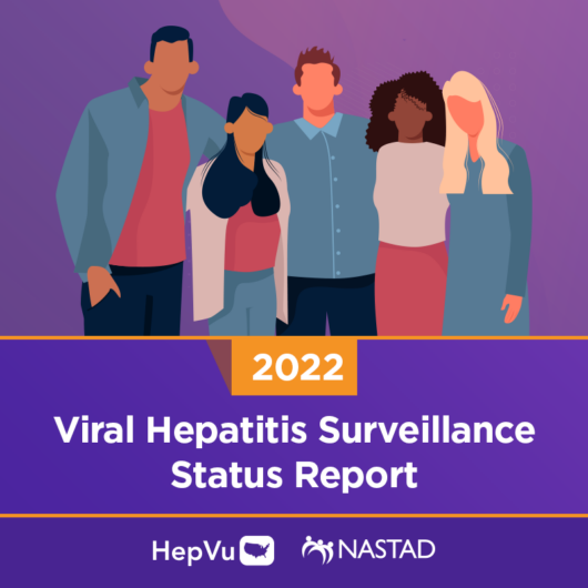 2022 Viral Hepatitis Surveillance Status Report