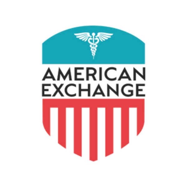 American Exchange Logo