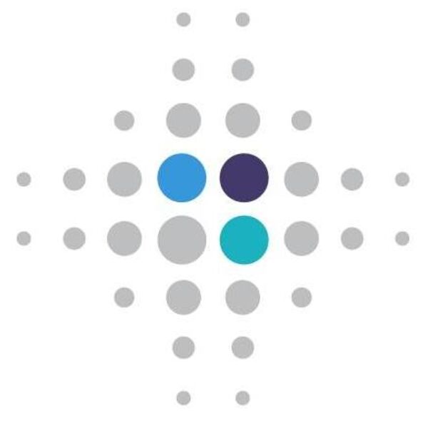 CDC Foundation icon